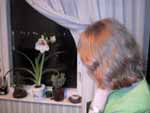 Заседание оргкомитета встречи Выпускников 1983 года Факультета радиотехники и кибернетики ( ФРТК )